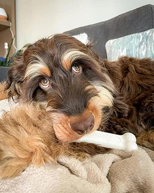 Nylabone Power Chew Classic Bone Chew Toy for Dogs, Durable Dog Toys for Aggressive Chewers, Chicken Flavor, Large/Giant - Up to 50 lbs. (1 Count)