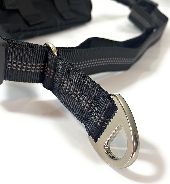 Hands Free Dog Leash with Locking Carabiner | Waterproof Running Dog Leash with Zipper Pouch, Dual Padded Handles and Durable Bungee for Active Dogs and Lifestyles