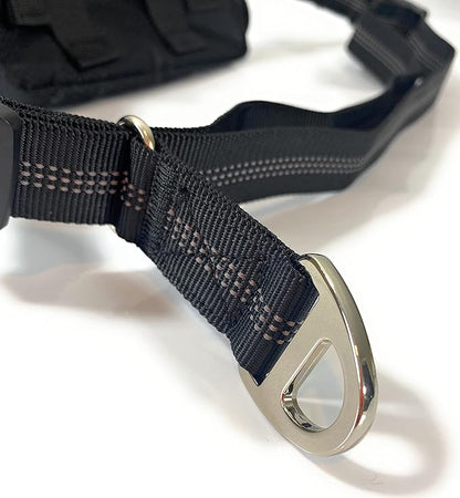 Hands Free Dog Leash with Locking Carabiner | Waterproof Running Dog Leash with Zipper Pouch, Dual Padded Handles and Durable Bungee for Active Dogs and Lifestyles