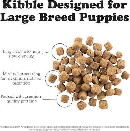 Bundle of Now Fresh Grain Free Dog Food, 12 lb - Large Breed Puppy Food Recipe + Now Fresh Grain Free Dog Food, 25 lb - Large Breed Adult Dog Food Recipe