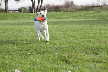 Chuckit! Amphibious Tumble Bumper Dog Toy, Floats on water,Large