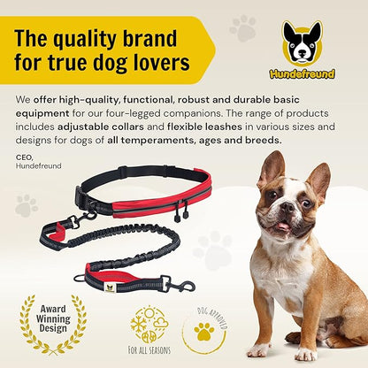 Hands Free Dog Leash for Running Walking Hiking for Medium and Large Dogs (30-150 lbs) with Adjustable Waist Belt, Zipper Pouch, Reflective Retractable Bungee, Dual Handles Red