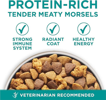 Purina One Plus Digestive Health Formula Dry Dog Food Natural with Added Vitamins, Minerals and Nutrients - 31.1 lb. Bag