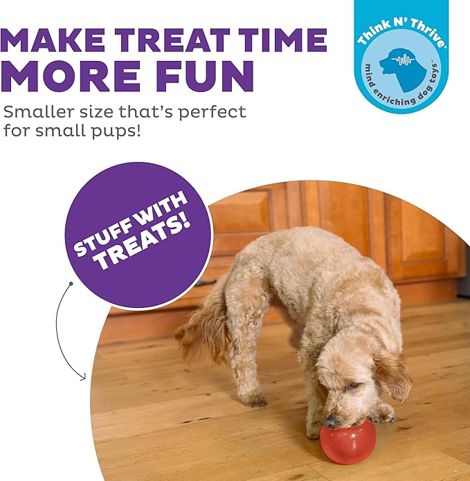 Outward Hound Lil' Snoop Interactive Treat Dispensing Dog Toy, Small, Red