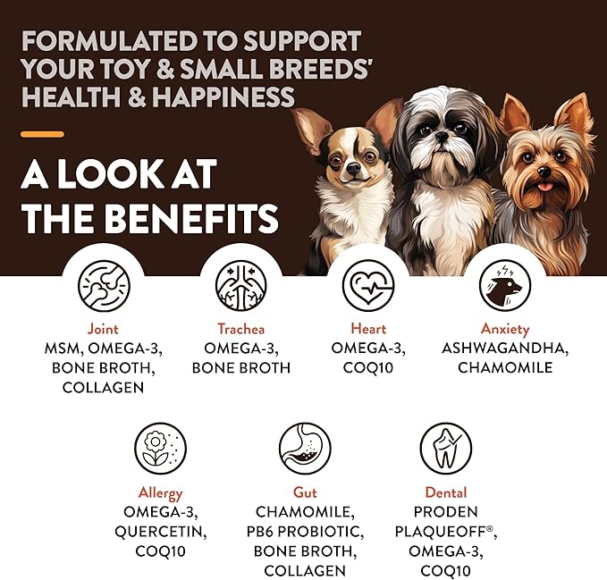 NaturVet Small Breeds Supplement- for Joint Support, Digestion, Skin, Coat Care- Dog Multivitamins with Minerals, Omega-3, PlaqueOff- Wheat-Free Vitamins for Dogs- Toy and Small Breeds- 60 Soft Chews