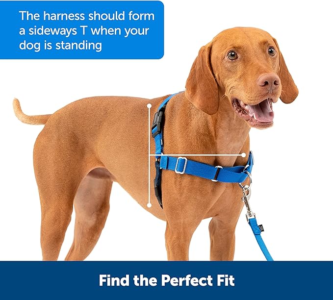 PetSafe Easy Walk No-Pull Dog Harness - The Ultimate Harness to Help Stop Pulling - Take Control & Teach Better Leash Manners - Helps Prevent Pets Pulling on Walks - Small, Black/Silver