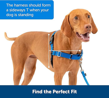 PetSafe Easy Walk No-Pull Dog Harness - The Ultimate Harness to Help Stop Pulling - Take Control & Teach Better Leash Manners - Helps Prevent Pets Pulling on Walks - Small, Black/Silver