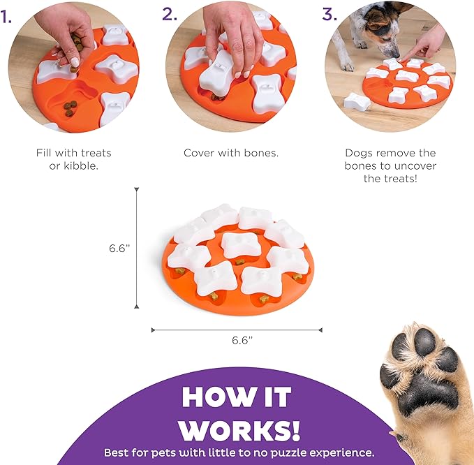 Outward Hound Nina Ottosson Dog Smart Dog Puzzle Interactive Treat Puzzle Dog Enrichment Dog Toy, Level 1 Beginner, Orange