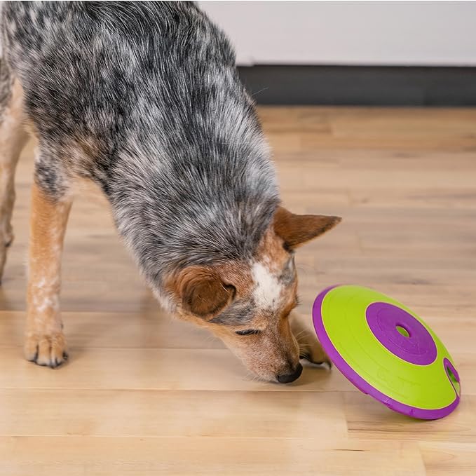 Outward Hound Nina Ottosson Dog Treat Maze Dog Puzzle Interactive Treat Puzzle Dog Enrichment Dog Toy, Level 2 Intermediate, Green
