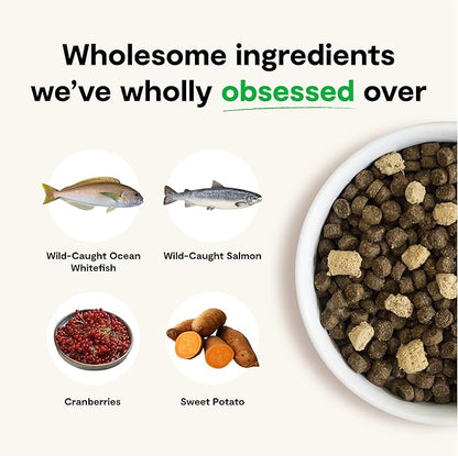 Open Farm RawMix Grain-Free Wild-Ocean Recipe for Dogs, includes Kibble, Bone Broth, and Freeze Dried Raw, Inspired by The Wild, Humanely Raised Protein and Non-GMO Fruits and Veggies, 3.5 lb