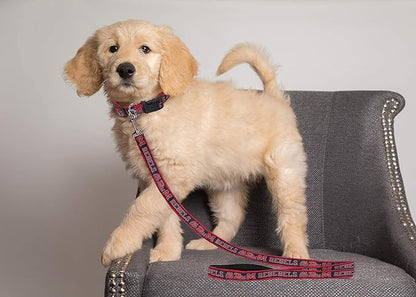 Pets First Collegiate Pet Accessories, Dog Leash, Mississippi Ole Miss Rebels, Large