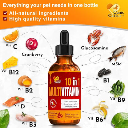 Multivitamin for Dogs | Cat Multivitamin | Dog Vitamins and Supplements | Cat Supplements & Vitamins | Dog Supplements & Vitamins | Pet Honesty Multivitamin 10-in-1 | Vitamins for Dogs | 2 Pack