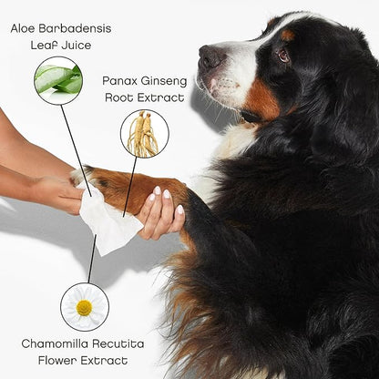 Renewing Aloe and Bamboo Dog Wipes by Floof - Cleansing, Moisturizing, Hypoallergenic Wipes for Paws, Face, Body | Natural Fragrance | Safe for All Breeds | Vet Dermatologist Formulated | 30 Wipes (1)