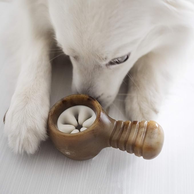 Benebone Pawplexer Interactive Treat Dispensing Tough Dog Puzzle Chew Toy, Made in USA, Small, Real Bacon Flavor