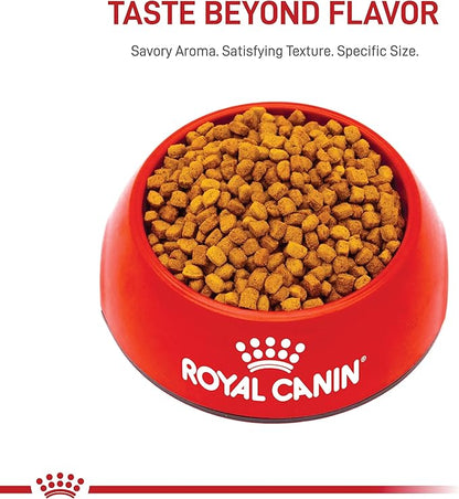 Royal Canin Dachshund Puppy Breed Specific Dry Dog Food, 2.5 lb Bag