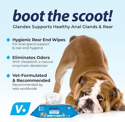 Vetnique Labs Glandex Dog Wipes for Pets Cleansing & Deodorizing Anal Gland Hygienic Wipes for Dogs & Cats with Vitamin E, Skin Conditioners and Aloe (100ct Pouch)
