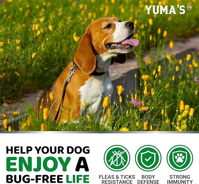 (2-Pack) Flea and Tick Prevention for Dogs Chewables - Natural Dog Flea and Tick Treatment Chewable - Flea and Tick Chews for Dogs - Soft Oral Flea Pills for Dogs - All Breeds & Ages - Made in USA