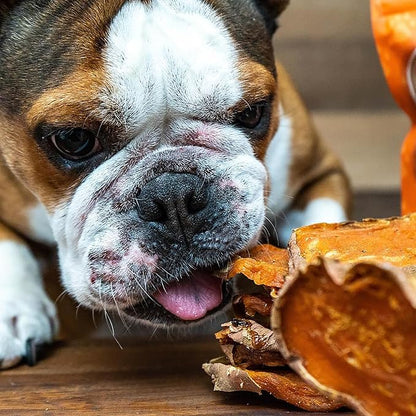 Covington Sweet Potato - Bacon - 5.29 oz, Dehydrated Dog Treats, Vitamin Rich All Natural Chew, This & That Canine Co