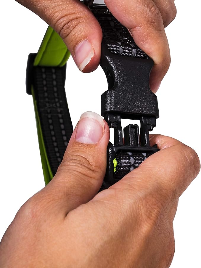 Nylon Dog Collar – Reflective – Franklin Pet Supply Co™ – Comfort Fit – Neoprene – Adjustable – Large – Green