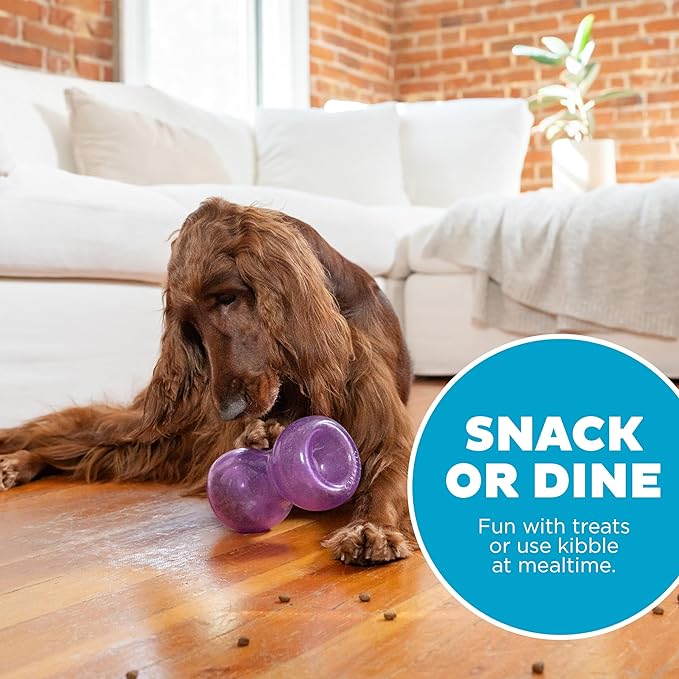 Outward Hound Double Snoop Interactive Treat Stuffer Durable Dog Toy, Dog Treat Toy, Purple