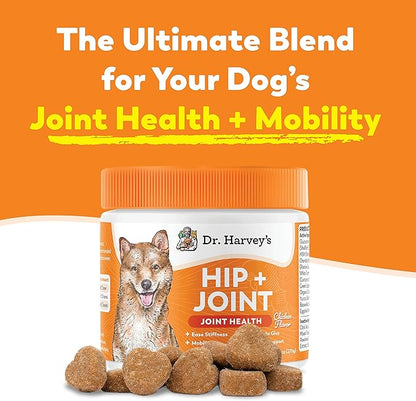 Dr. Harvey's Hip & Joint Soft Chews for Dogs, Daily Mobility Supplement Chewable Bites for Dogs with Glucosamine, Chondroitin & MSM, Green Lipped Mussel, Chicken Flavor (90 Chews)