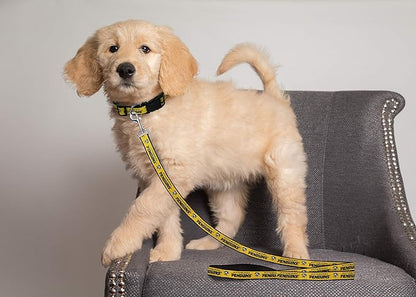 Pets First NHL Pittsburgh Penguins Leash for Dogs & Cats, Medium. - Walk Cute & Stylish! The Ultimate Hockey Fan Leash!, Medium (4 ft Long x 0.62 in Width) (PEN-3031-MD)