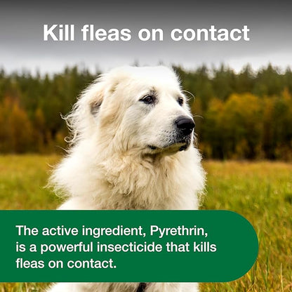 Advantage Dog Flea Treatment Spray | Kills Fleas & Ticks | Dog Flea Spray | 15 oz.