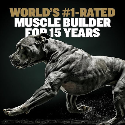 Bully Max Protein Powder for Dogs | Supports Muscle Building & Muscle Gain | #1-Rated Performance Brand Since 2009 | for Dogs of all Ages | 368 Grams
