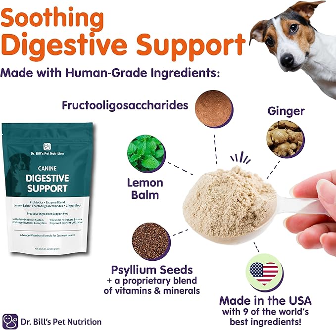 Dr. Bill’s Canine Digestive Support | Probiotics & Prebiotics for Dogs | Gut Health Pet Supplements | Contains Ginger Root, Psyllium Husk, Lemon Balm and Bifidobacterium