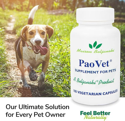 Beljanski® Product - PaoVet® - Pao Pereira Immune Support Pet Supplement - 100 Capsules