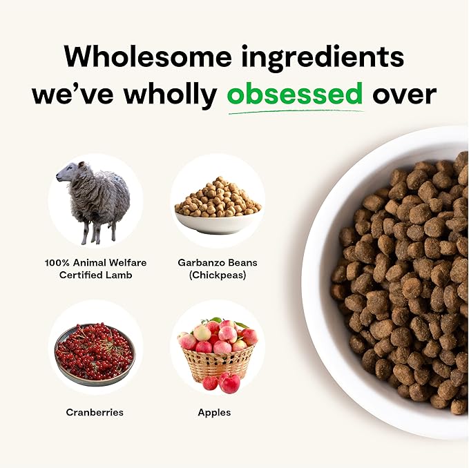 Open Farm Pasture-Raised Lamb Grain-Free Dry Dog Food, New Zealand Lamb Recipe with Non-GMO Superfoods and No Artificial Flavors or Preservatives, 22 lbs