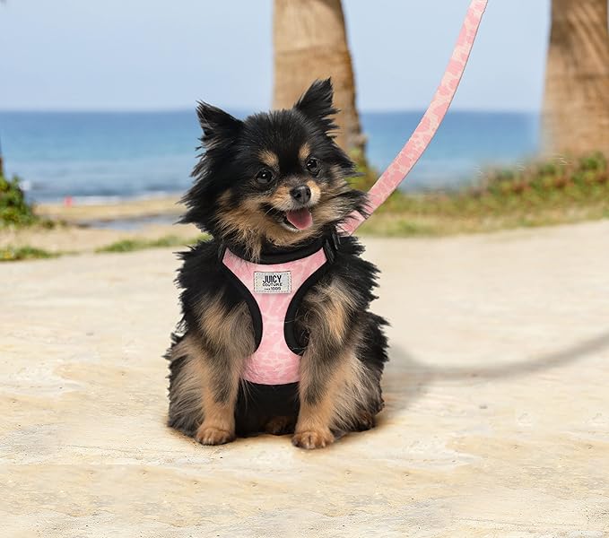 Juicy Couture Pink Camo Dog Harness and Leash Set – Adjustable Puppy Harness with Puppy Leash & Mesh Padding Dog Harness, Small