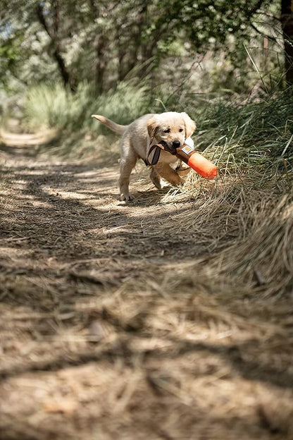 Carhartt Pet Toys, Training Fetch and Chew