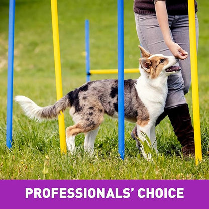 Cloud Star Tricky Trainers Chewy & Grain Free, Low Calorie Dog Training Treats, Baked in the USA, Liver 5 oz.
