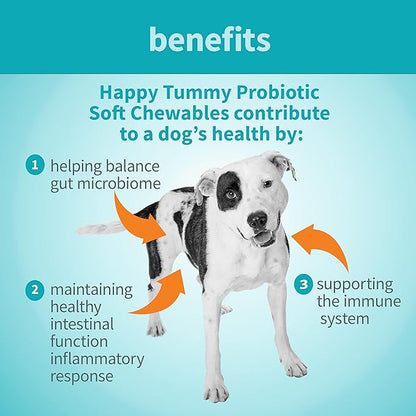 Happy Tummy Probiotic for Dogs Soft Chewables, 5.3 oz - Digestive Support, Immune System, Gut Health