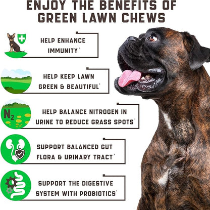 Green Lawn Chews for Dogs - Cranberry, ACV, Digestive Enzymes - Natural Dog Urine Neutralizer for Lawn - Supports Healthy Bladder, Urinary Tract (Duck - 180 Chews (Pack of 1))