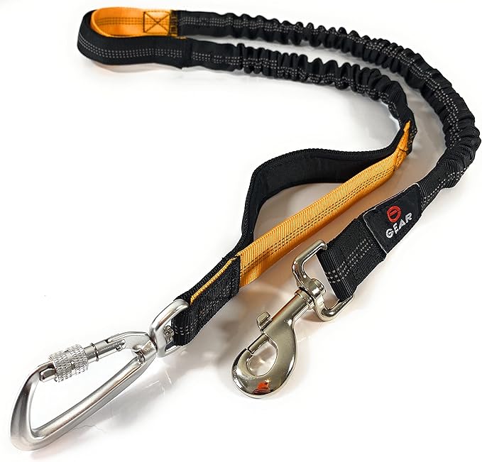 Hands Free Dog Leash with Locking Carabiner | Waterproof Running Dog Leash with Zipper Pouch, Dual Padded Handles and Durable Bungee for Active Dogs and Lifestyles