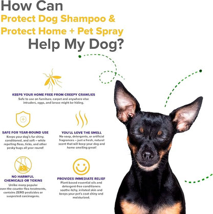 Protect Home + Dog Spray; Eliminate Scratching, Itching, and Hot Spots and Keep Your Home Safe and Smelling Great; Plant-Based All-Natural Formula - Made in USA