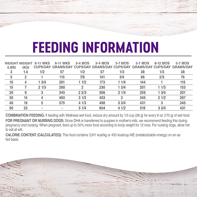 Wellness Complete Health Dry Puppy Food, Chicken, Salmon & Oatmeal, 15-Pound Bag