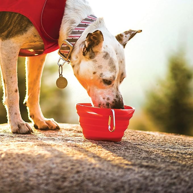 Kurgo Collaps-A-Bowl for Dogs, Collapsible Travel Dog Bowl, Pet Food & Hiking Water Bowl, Food Grade Bowl for Dogs, Travel Accessories for Pets, includes Carabiner (24 oz, Red)