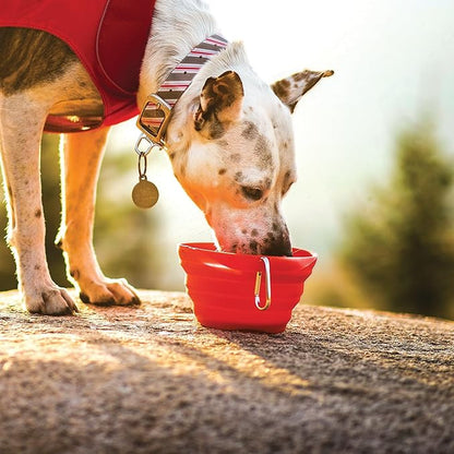 Kurgo Collaps-A-Bowl for Dogs, Collapsible Travel Dog Bowl, Pet Food & Hiking Water Bowl, Food Grade Bowl for Dogs, Travel Accessories for Pets, includes Carabiner (24 oz, Red)