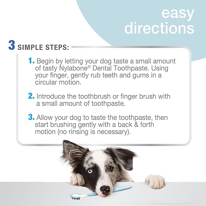 Nylabone Advanced Oral Care Tartar Control Dog Toothpaste Original 2.5 oz. (1 Count)