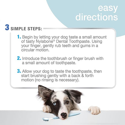 Nylabone Advanced Oral Care Tartar Control Dog Toothpaste Original 2.5 oz. (1 Count)