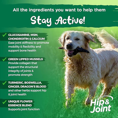 Vital Planet - Hip and Joint Support Powder Supplement for Dogs, with Glucosamine, Turmeric, Boswellia, MSM, and Collagen from Green-Lipped Mussel - Beef Flavored Powder, 60 Scoops, 111 Grams