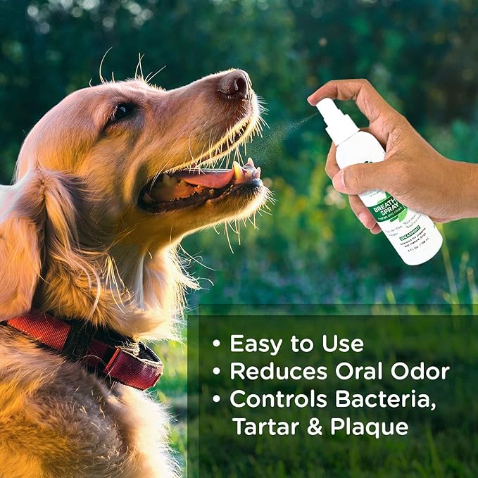 Lillian Ruff Dog Breath Freshener Dental Care Spray - Dog Oral Health Teeth Cleaning Formula Targets Bad Dog Breath, Plaque & Tartar Build-Up, Supports Oral Care, Gum Health & Immune System (Gallon)