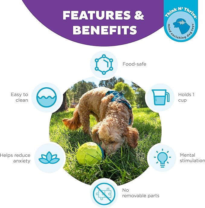 Outward Hound Nina Ottosson Treat Tumble Interactive Treat Ball Dog Puzzle Dog Enrichment Dog Toy, Level 1 Beginner, Blue, Small