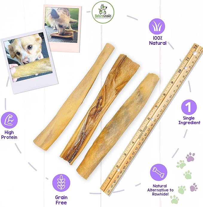 Nature Gnaws - Hide Sticks for Dogs - Premium Natural Beef Dental Bones - Long Lasting Dog Chew Treats for Aggressive Chewers - Puppy Training Reward (Pack of 2)