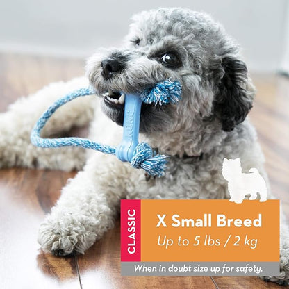 KONG Puppy Goodie Bone with Rope - Dog Chew Toy for Puppies - Natural Rubber Bone Toy with Cotton Rope - Teeth Cleaning Toy for Growing Puppies - for XS Puppies - Blue
