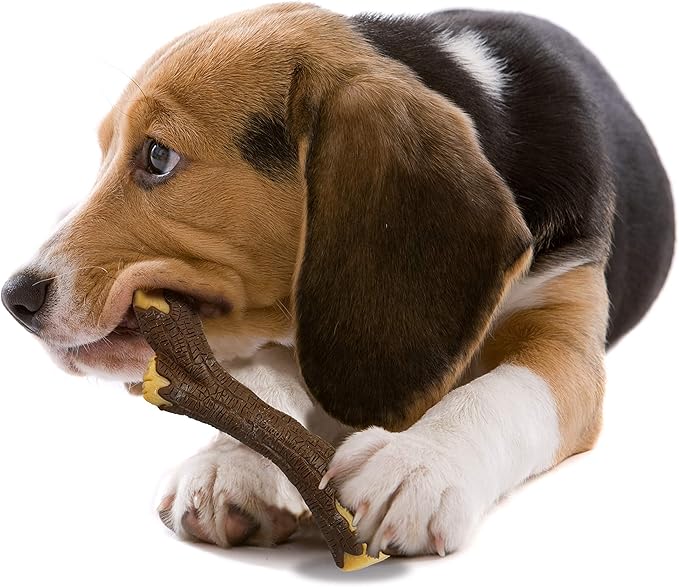 Nylabone Strong Chew Real Wood Stick Chew Toy for Dogs, Maple Bacon Flavor, Medium/Wolf (1 Count)