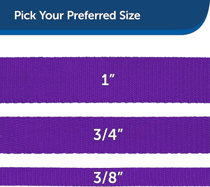 PetSafe Nylon Dog Leash - Strong, Durable, Traditional Style Leash with Easy to Use Bolt Snap - 1 in. x 6 ft., Deep Purple